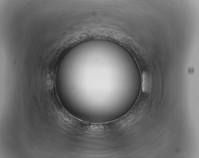 X0000097621491200803071459