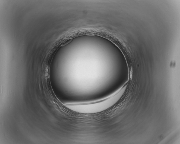 X0000097621492200803071459
