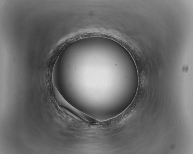 X0000097621494200803071459