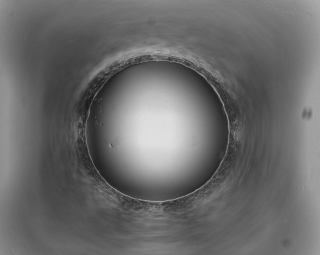 X0000097621495200803071459