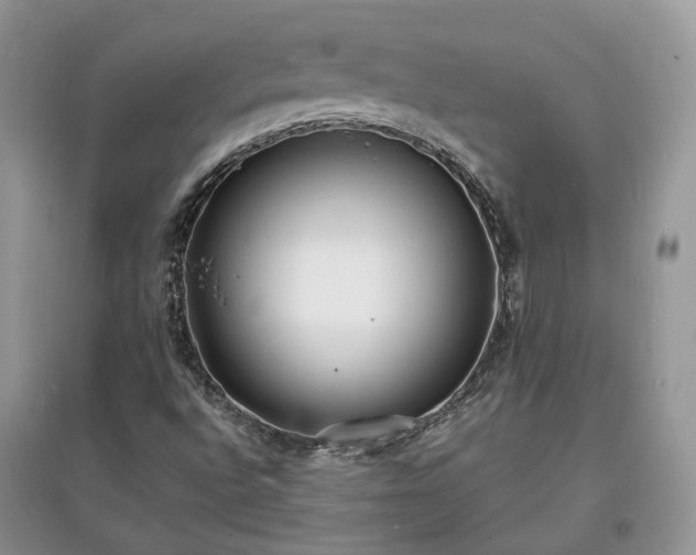 X0000097621496200803071459