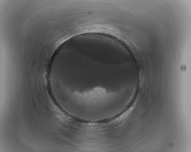 X0000097621497200803071459