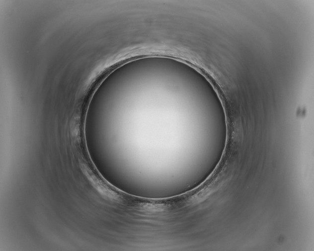 X0000097621499200803071459
