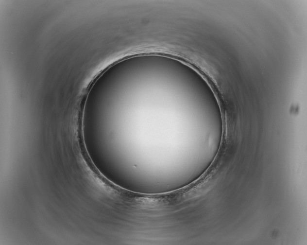 X0000097621500200803071459