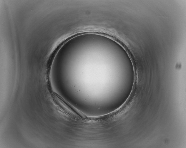 X0000097621501200803071459