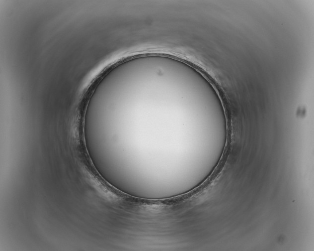 X0000097621502200803071459