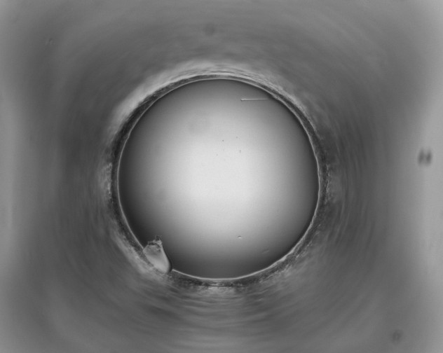 X0000097621503200803071459