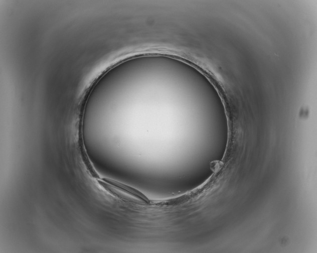 X0000097621504200803071459