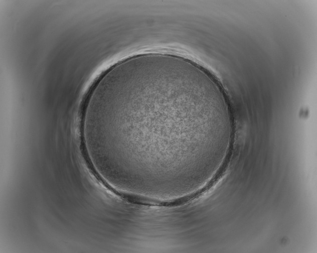 X0000097621506200803071459