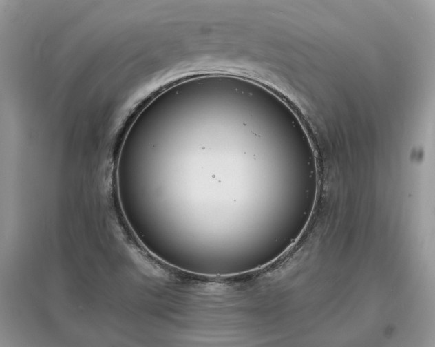 X0000097621507200803071459