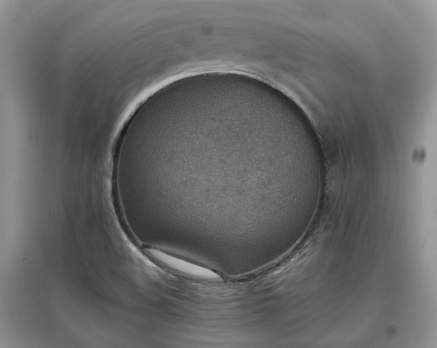 X0000097621508200803071459