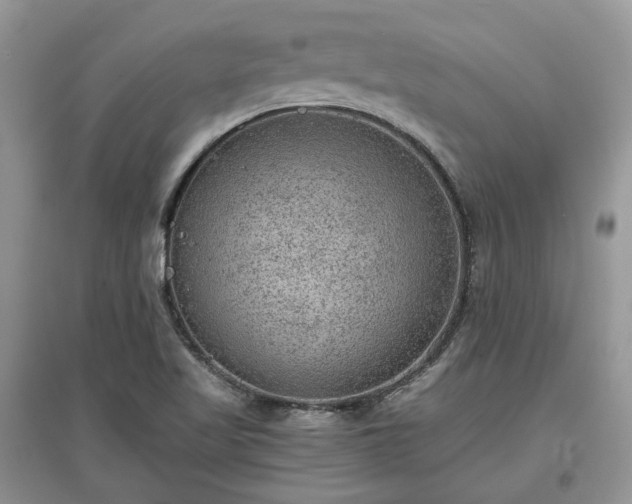 X0000097621509200803071459