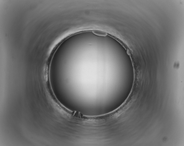 X0000097621510200803071459