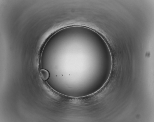 X0000097621511200803071459