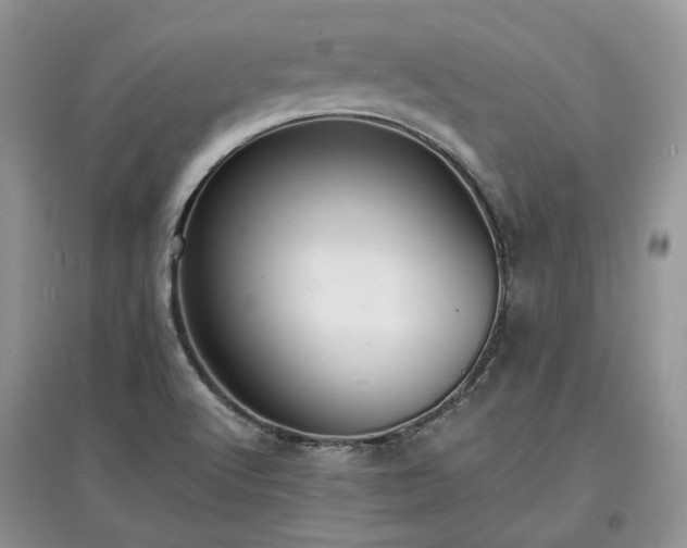 X0000097621512200803071459