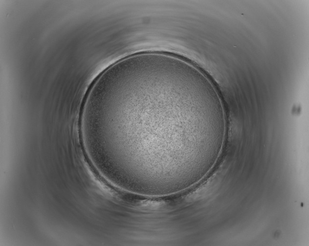 X0000097621513200803071459
