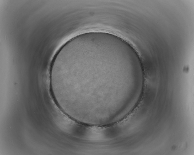 X0000097621514200803071459
