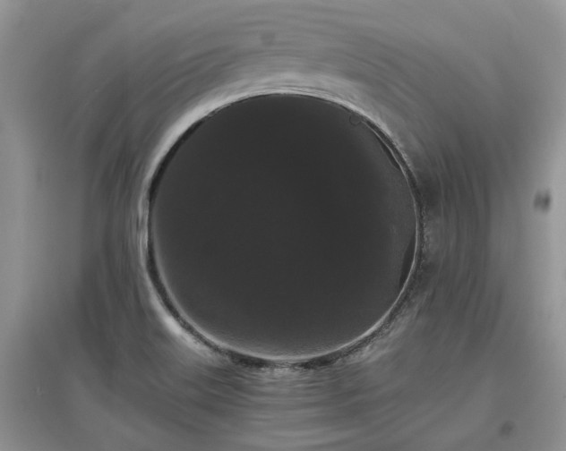 X0000097621515200803071459