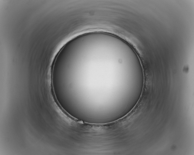 X0000097621516200803071459