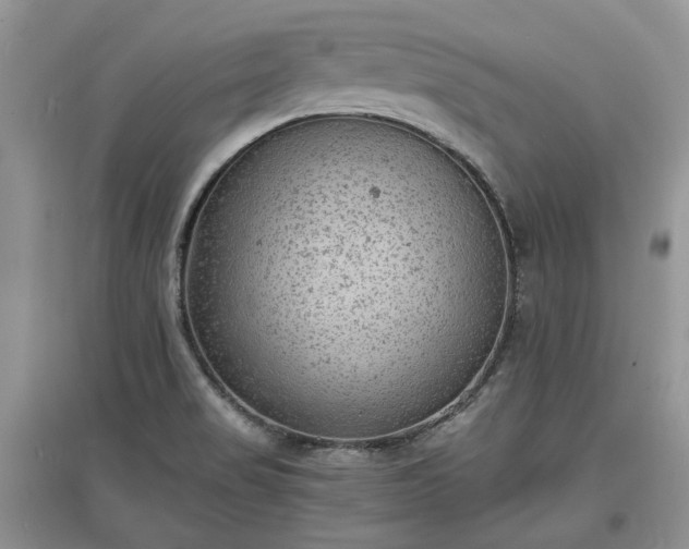 X0000097621517200803071459