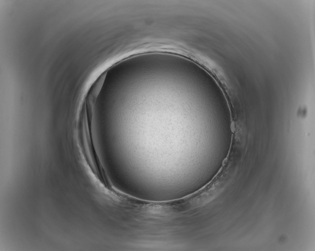 X0000097621520200803071459