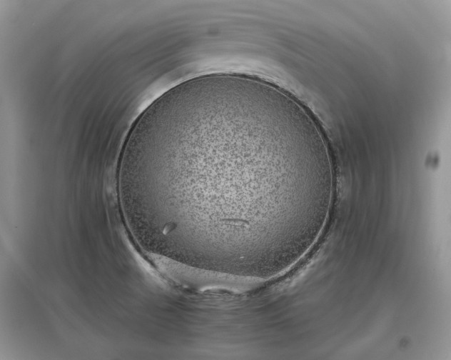 X0000097621521200803071459