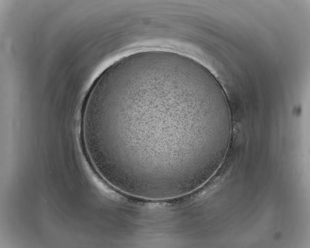 X0000097621523200803071459