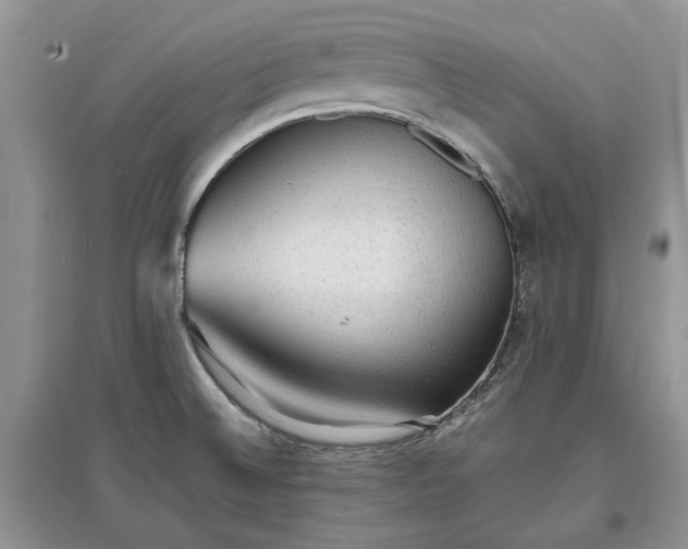X0000097621524200803071459