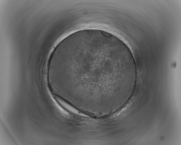 X0000097621525200803071459