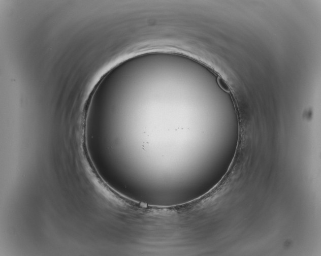X0000097621526200803071459