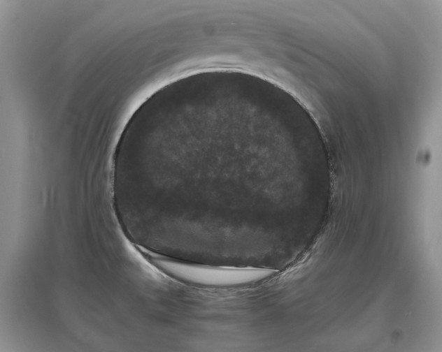 X0000097621527200803071459