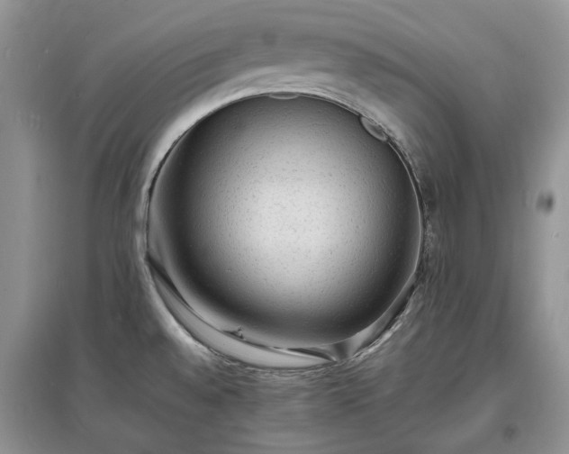 X0000097621528200803071459