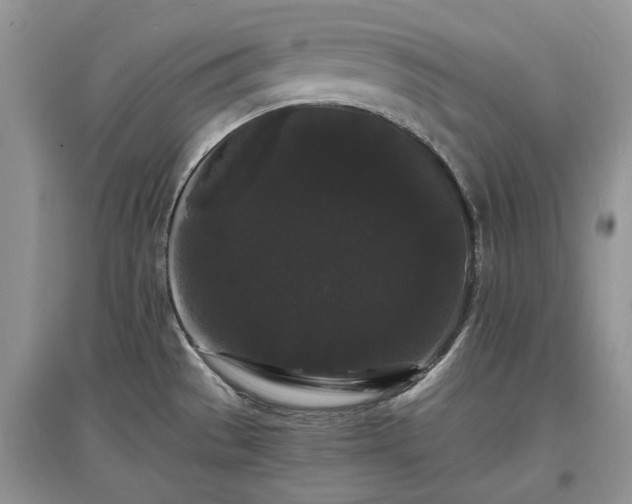 X0000097621529200803071459
