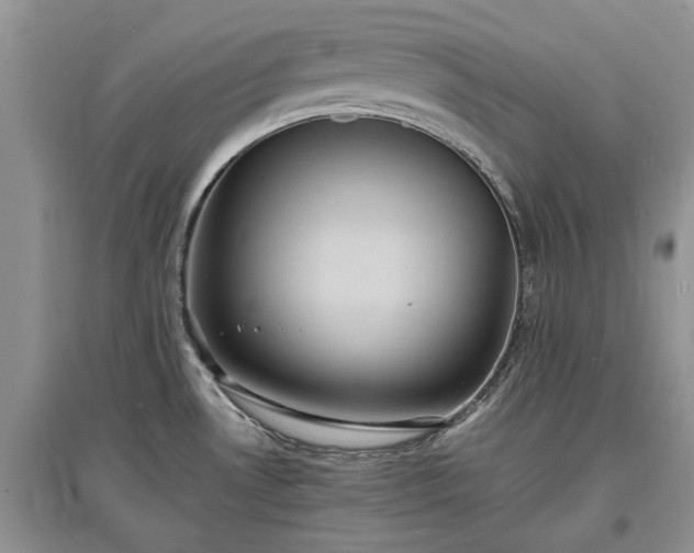 X0000097621530200803071459
