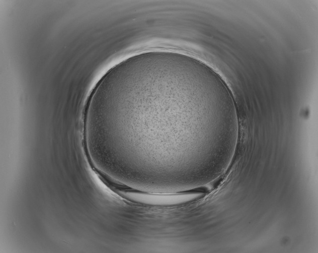 X0000097621531200803071459