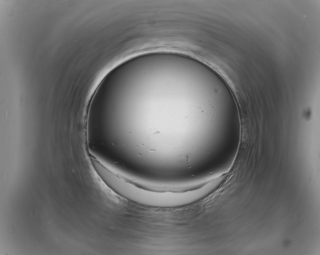 X0000097621532200803071459