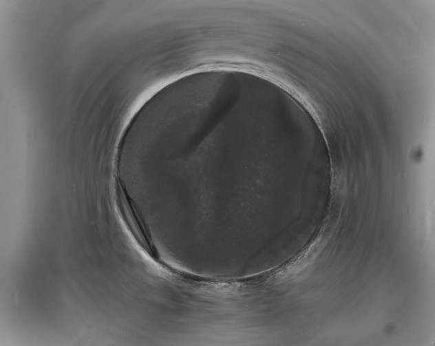 X0000097621533200803071459