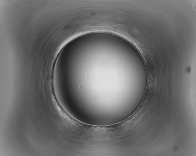 X0000097621534200803071459