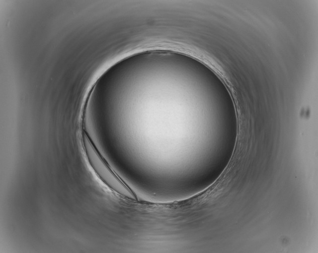 X0000097621536200803071459