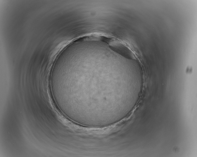 X0000097620001200803142012