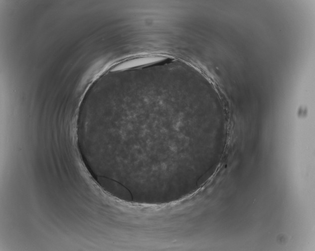 X0000097620002200803142012