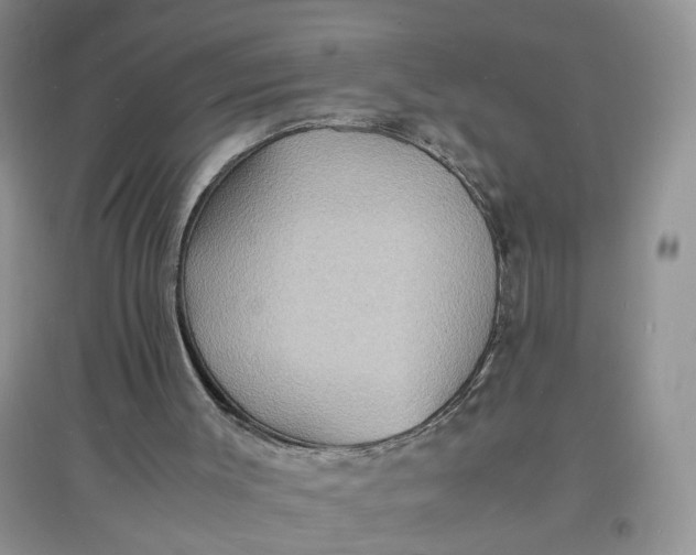 X0000097620003200803142012