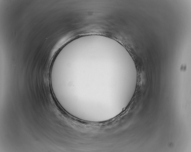 X0000097620004200803142012