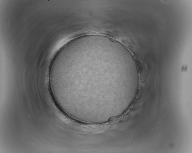 X0000097620005200803142012