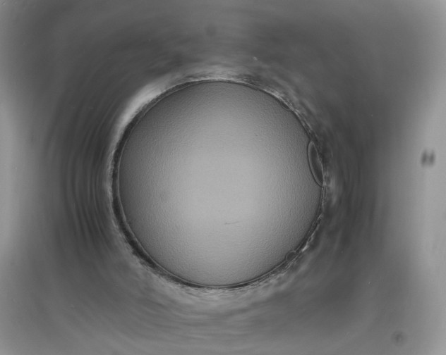 X0000097620006200803142012