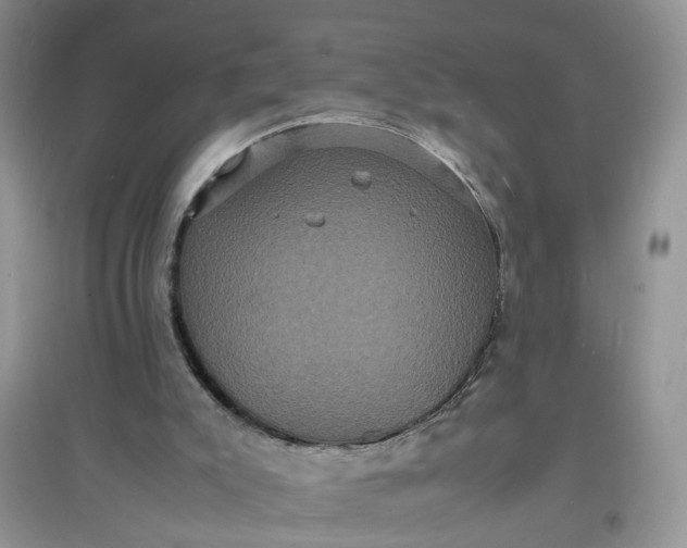 X0000097620007200803142012