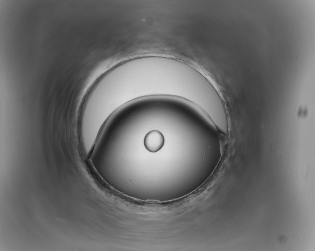 X0000097620008200803142012