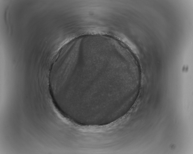 X0000097620009200803142012
