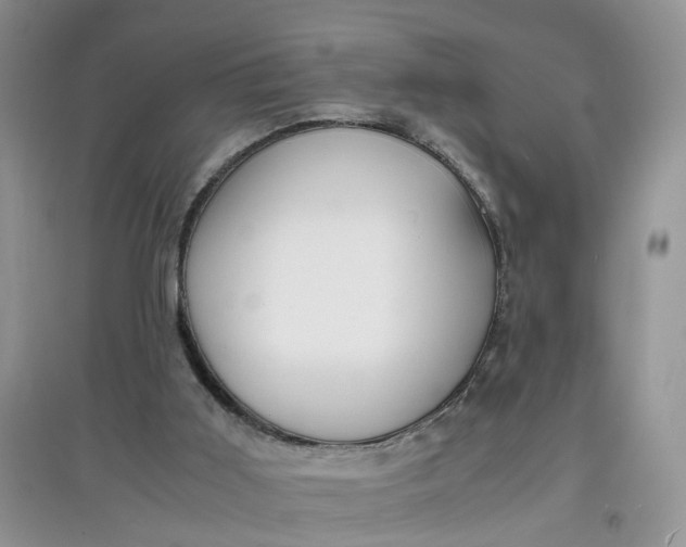 X0000097620011200803142012