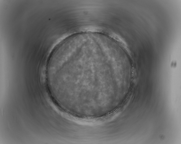 X0000097620012200803142012